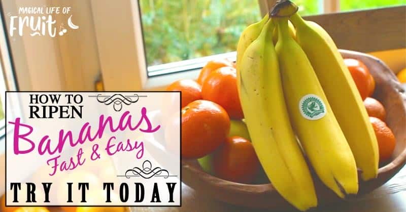 How To Ripen Bananas (FAST & EASY) Try It Today