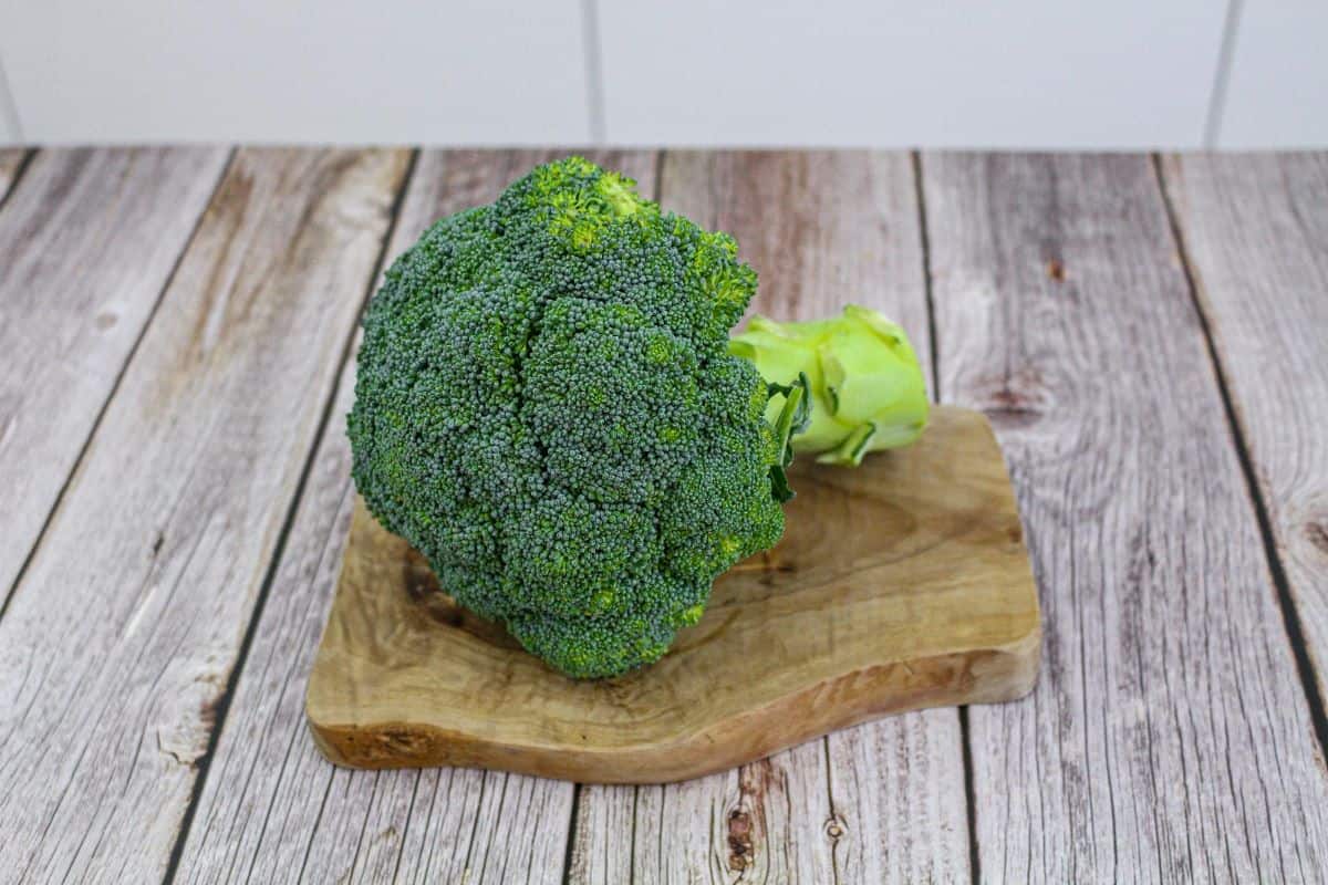 40 Highest Vegan Protein Sources Per 100 Calories + Chart - broccoli.