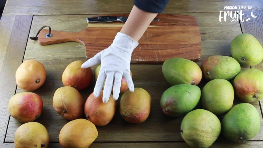 When Is A Mango Ripe? - 6 Easy Signs