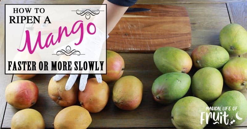 How To Ripen A Mango Faster (Or More Slowly)