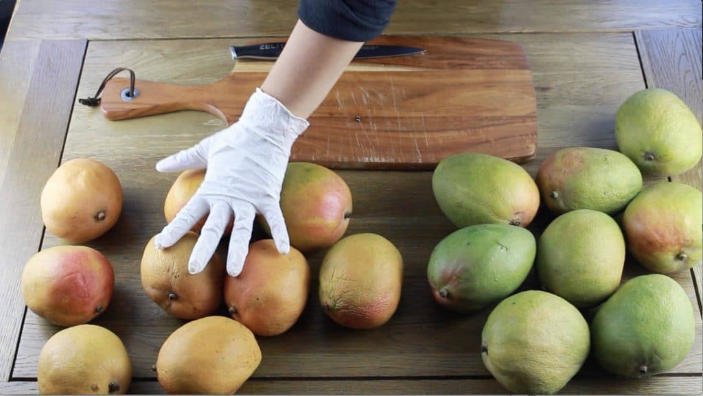 How To Ripen A Mango Faster Or More Slowly