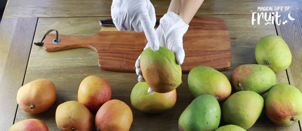 When Is A Mango Ripe? - 6 Easy Signs