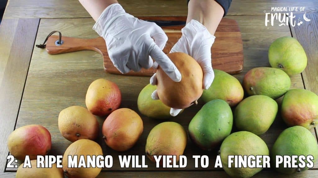 When Is A Mango Ripe? - 6 Easy Signs